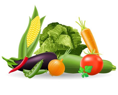 vegetables vector free